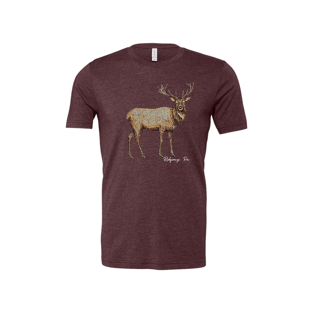 BELLA + CANVAS CVC Jersey Tee